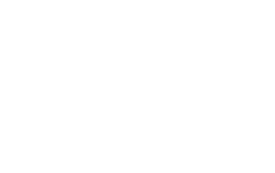 Since 1993